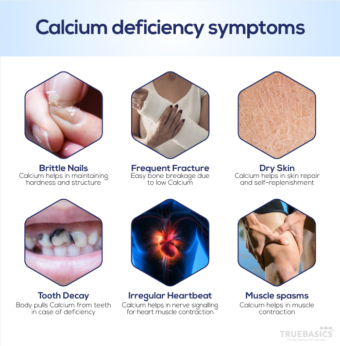 Role of Calcium in the Human Body - Truebasics Blog