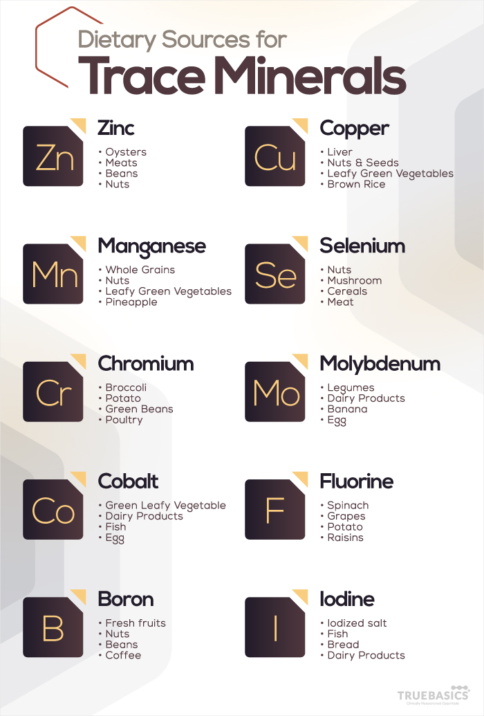 Role of Trace Minerals in Human Body Truebasics Blog