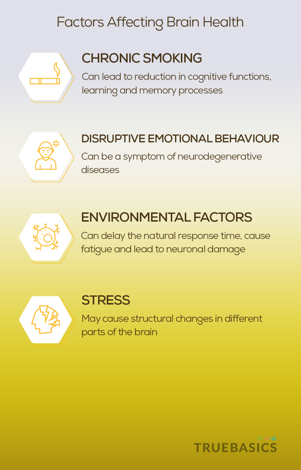 Role of Omega3 in Brain Health Truebasics Blog