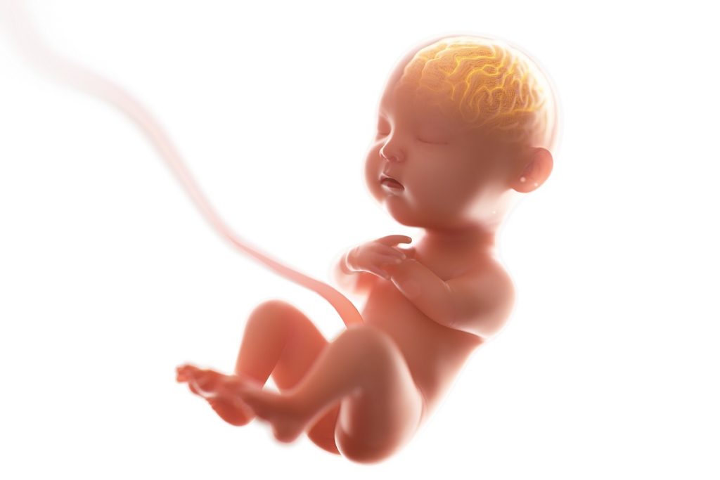 Omega 3 for Children