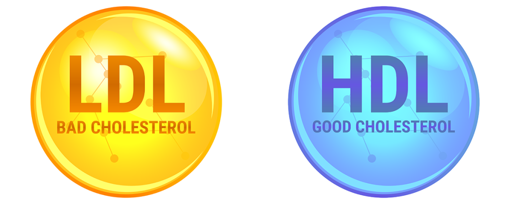 LDL vs HDL - Is all cholesterol bad?