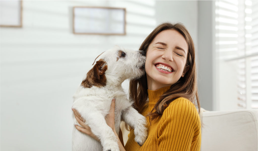 Playing with a pet