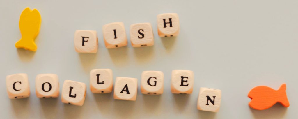 Type 1 collagen