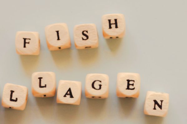 Type 1 collagen