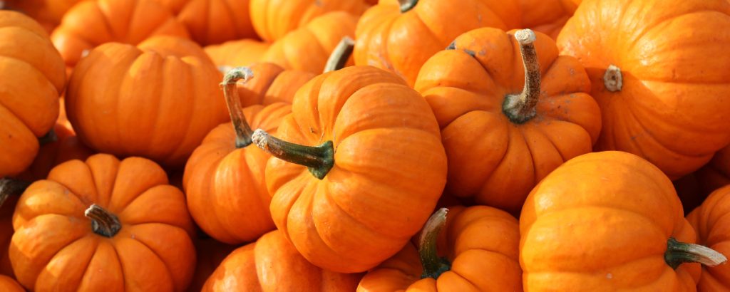 Pumpkin benefits for skin